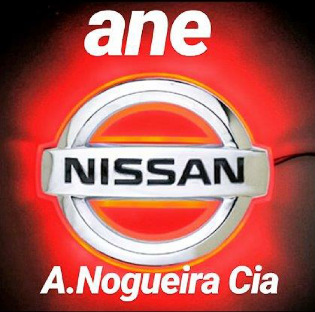 NISSAN ANE